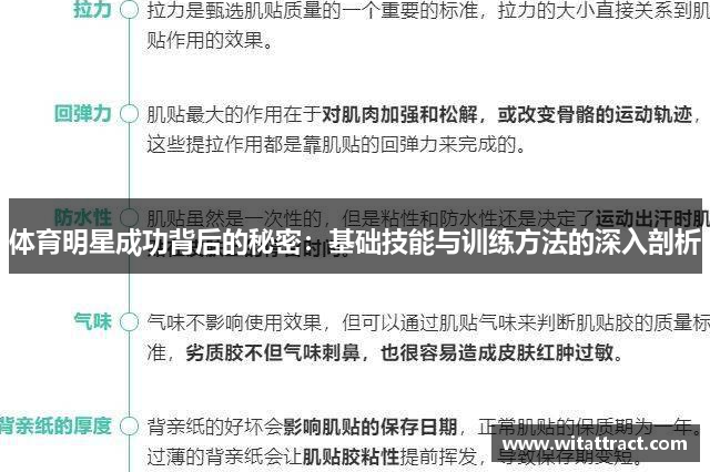 体育明星成功背后的秘密：基础技能与训练方法的深入剖析